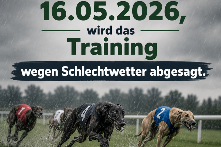 Training am 16.05.2026
